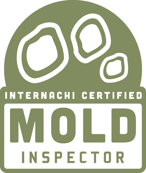 mold inspecor, mold assessor