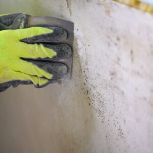 Mold exposure can lead to allergic reactions, respiratory symptoms, and health complications. Understanding the dangers of mold is crucial for creating a healthy living environment.
