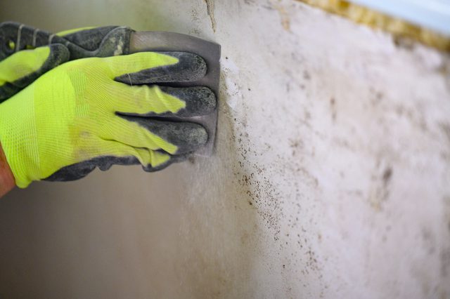 Mold exposure can lead to allergic reactions, respiratory symptoms, and health complications. Understanding the dangers of mold is crucial for creating a healthy living environment.