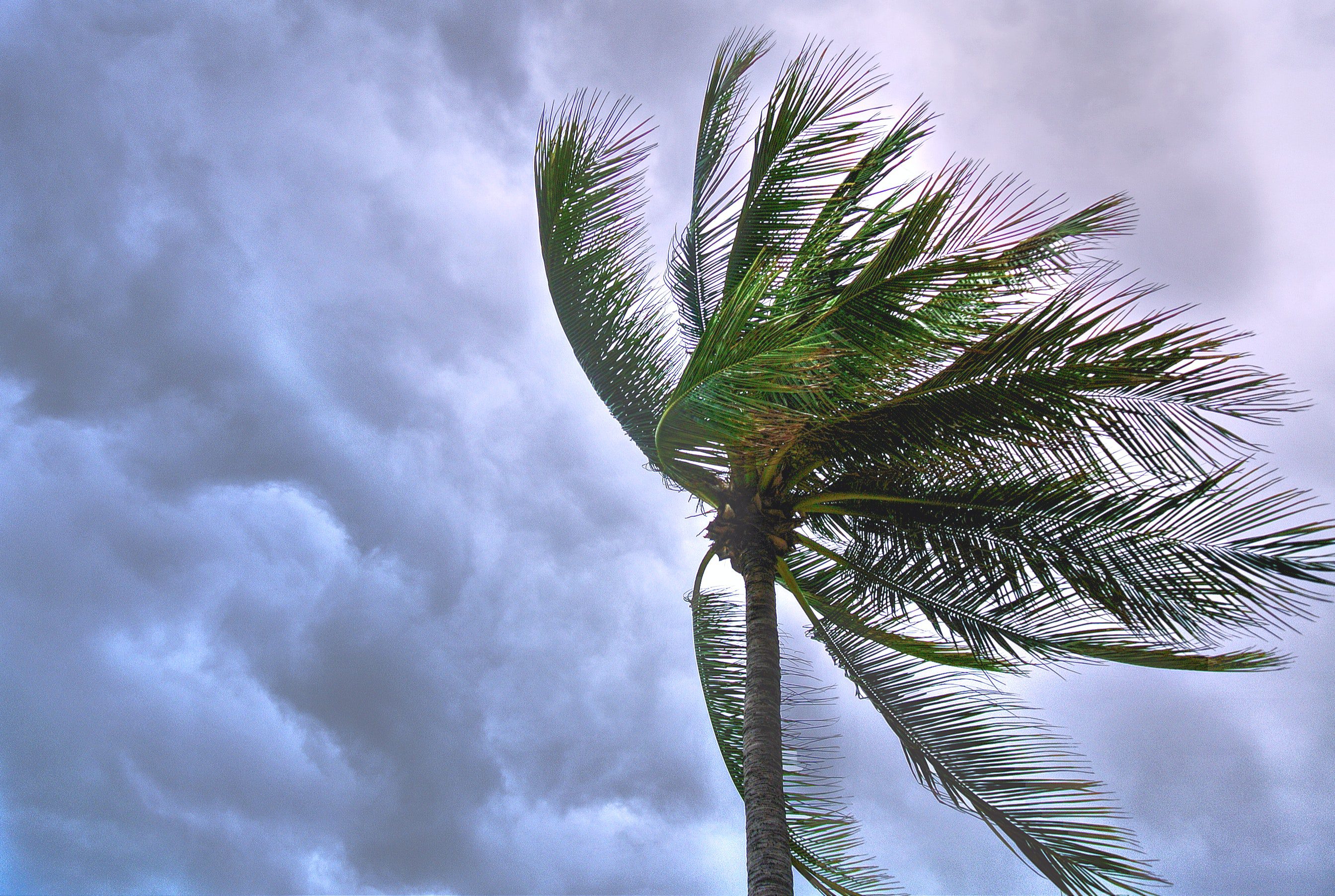 Blowing the Lid Off Wind Mitigation Inspection Costs in Florida: Unveiling the Price Tag.